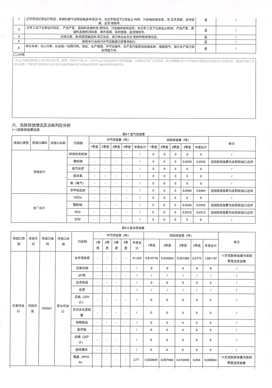 2021年排污許可年度執(zhí)行報告-9